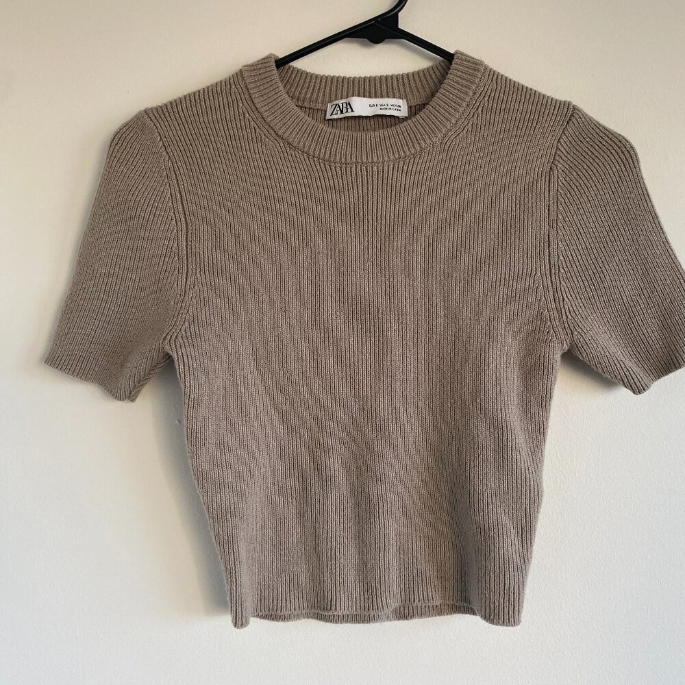 Zara Beige Crop Top